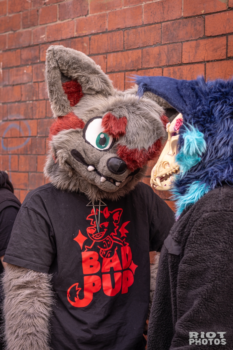 2026-02-14 MancFurs-202602-024.jpg