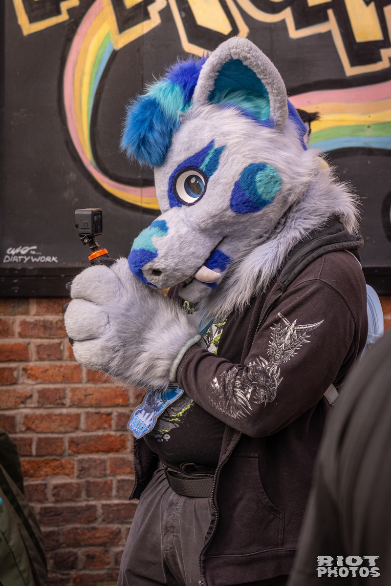 2026-02-14 MancFurs-202602-025.jpg