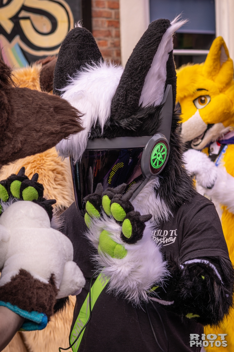2026-02-14 MancFurs-202602-026.jpg