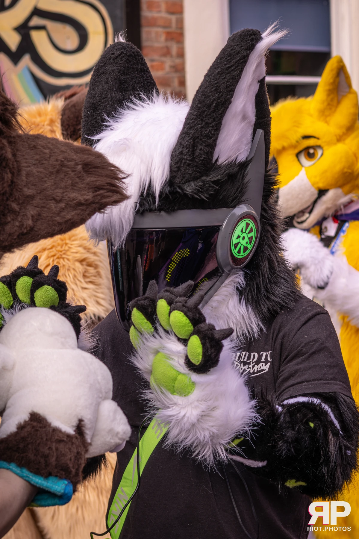 MancFurs - February, 2026 — 14 Feb 2026, Fluffy Riot photography — photo 26