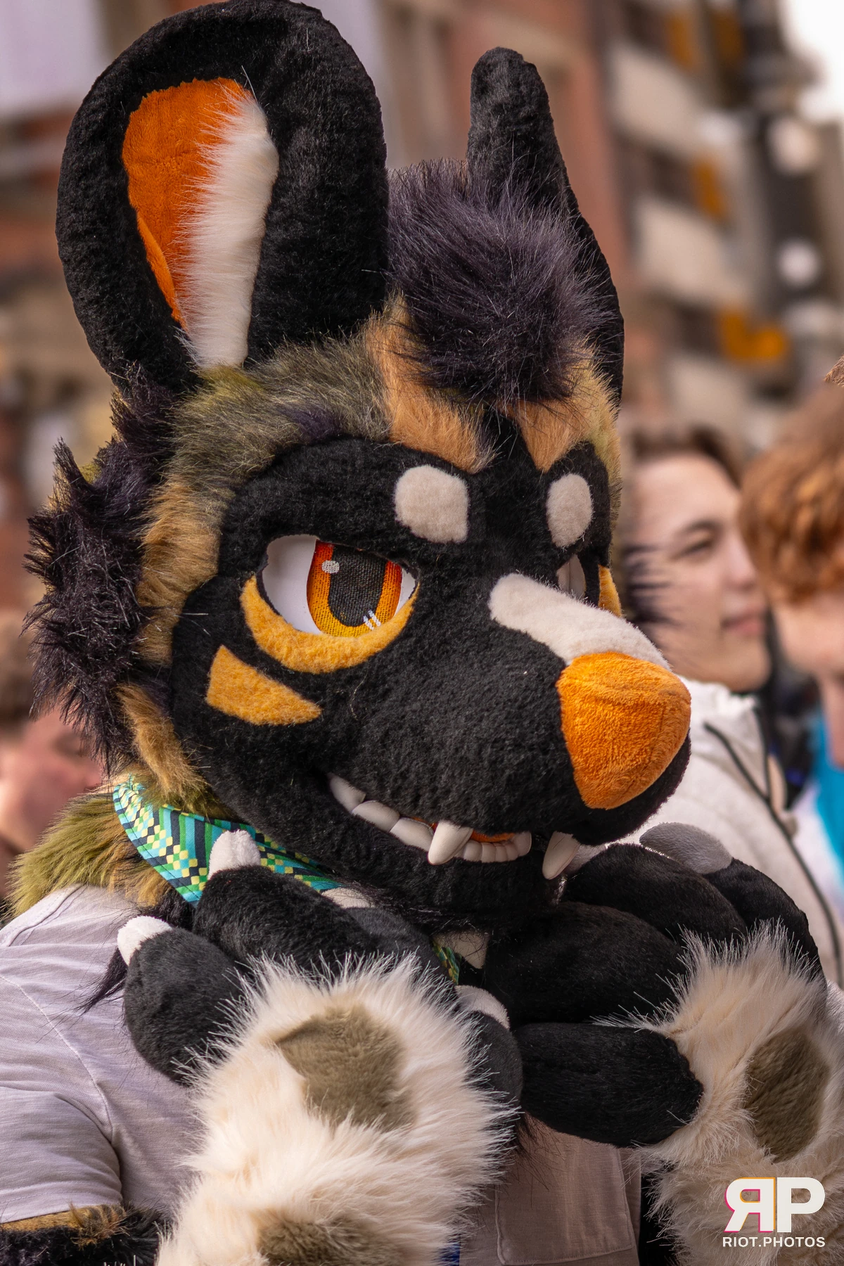 MancFurs - February, 2026 — 14 Feb 2026, Fluffy Riot photography — photo 27