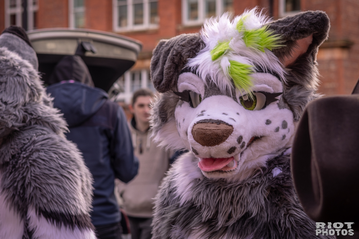 2026-02-14 MancFurs-202602-029.jpg