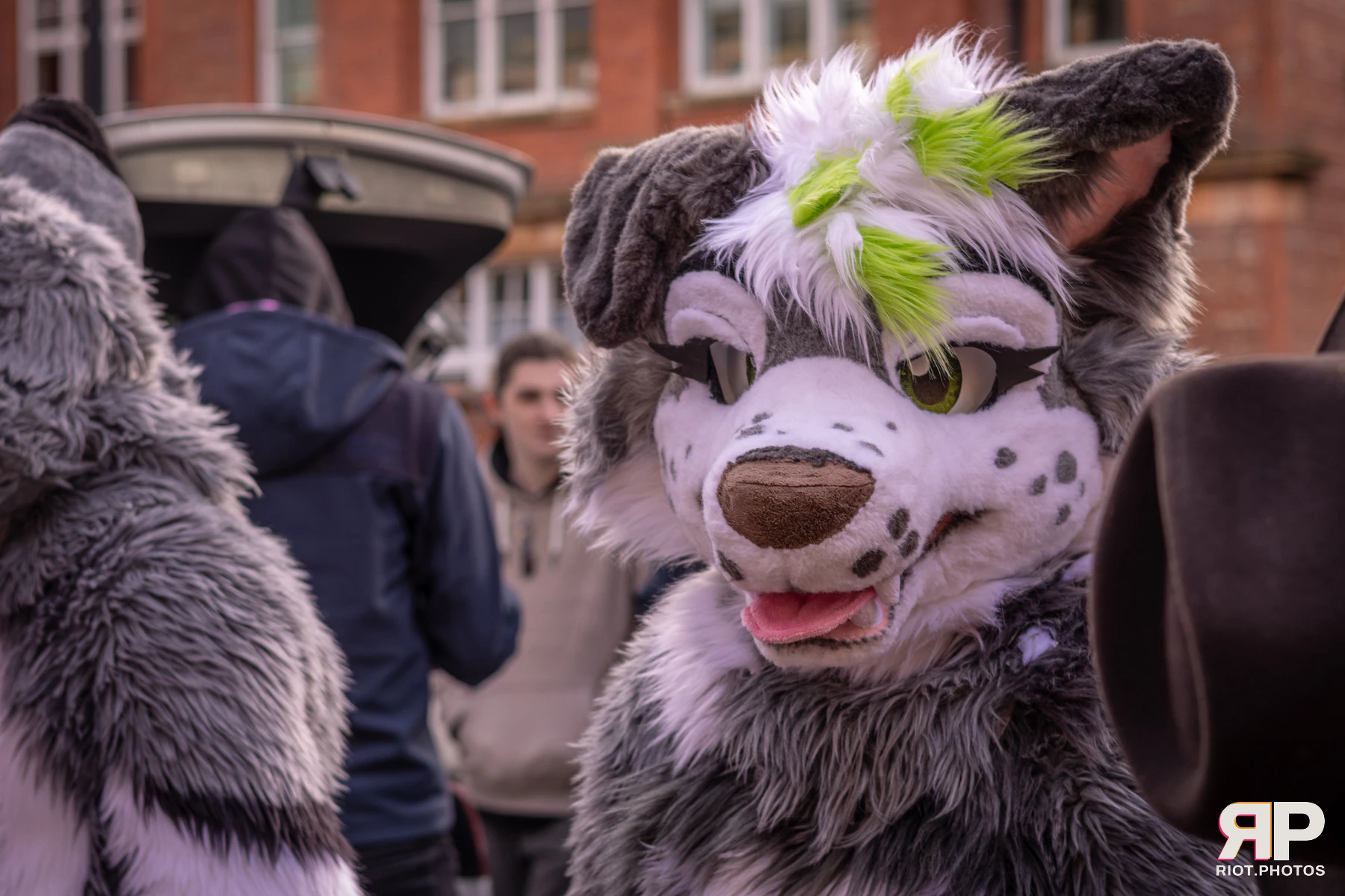 MancFurs - February, 2026 — 14 Feb 2026, Fluffy Riot photography — photo 29