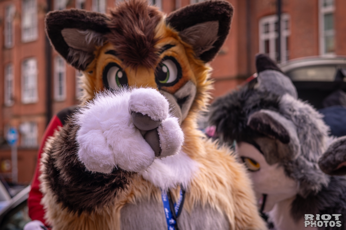 2026-02-14 MancFurs-202602-030.jpg
