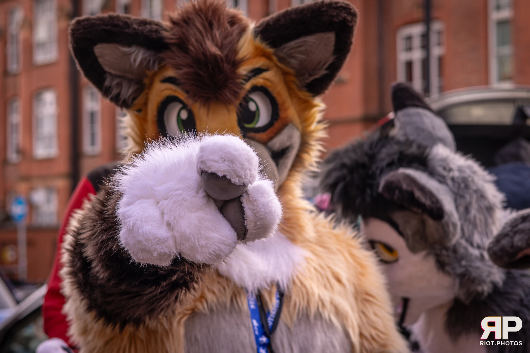 MancFurs - February, 2026 — 14 Feb 2026, Fluffy Riot photography — photo 30