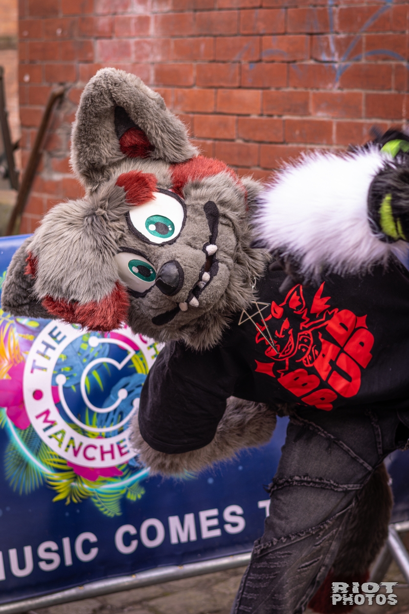 2026-02-14 MancFurs-202602-031.jpg
