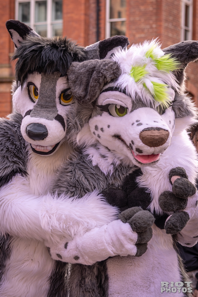 2026-02-14 MancFurs-202602-032.jpg