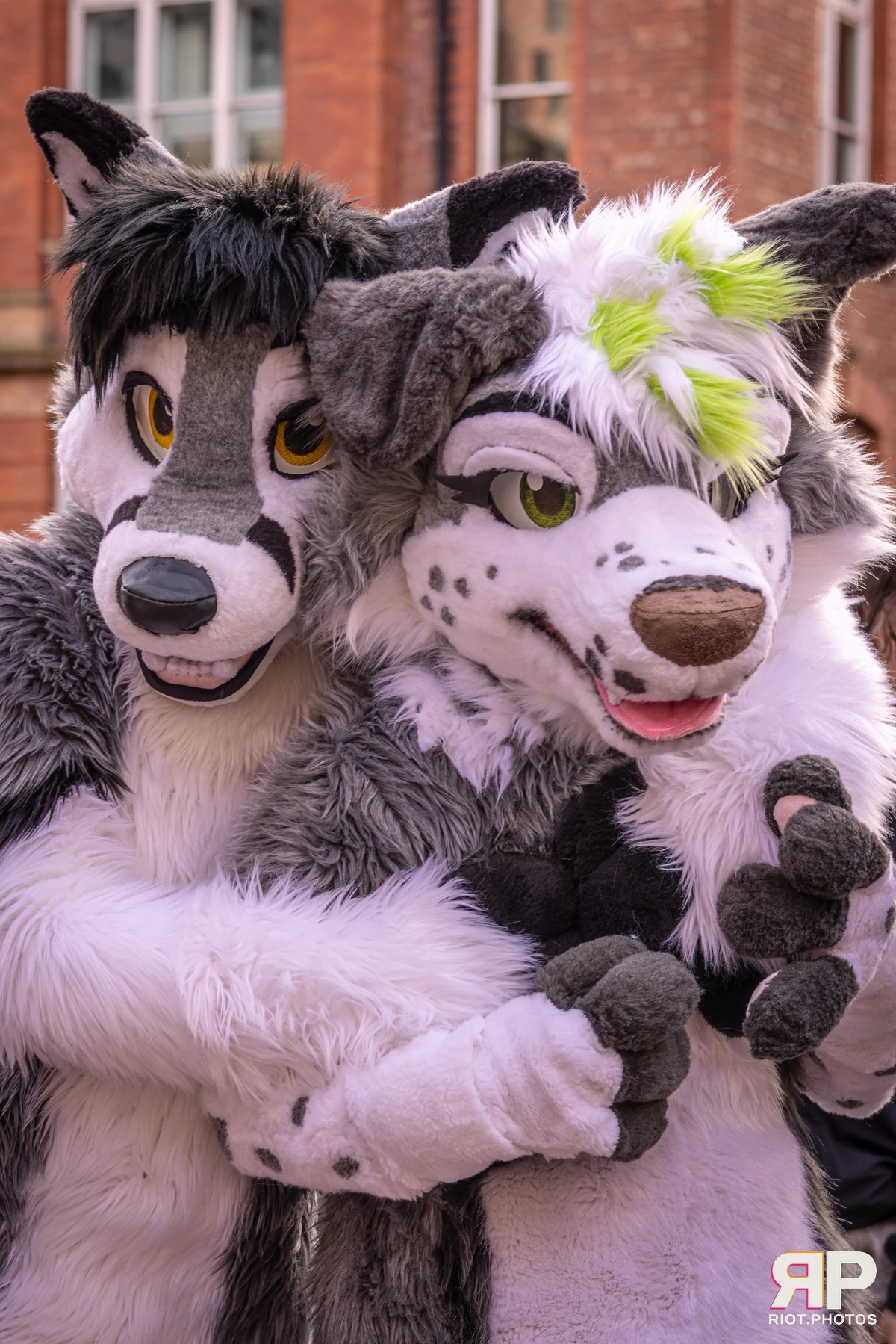 MancFurs - February, 2026 — 14 Feb 2026, Fluffy Riot photography — photo 32