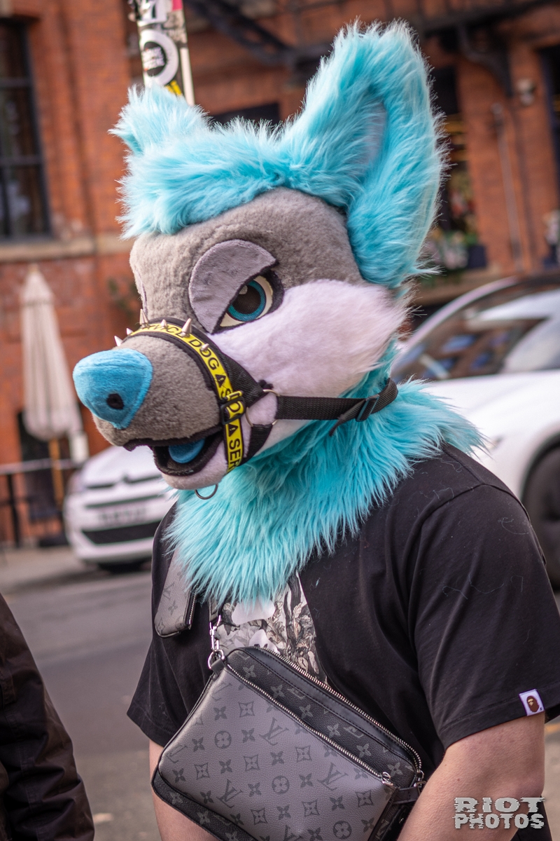 2026-02-14 MancFurs-202602-033.jpg