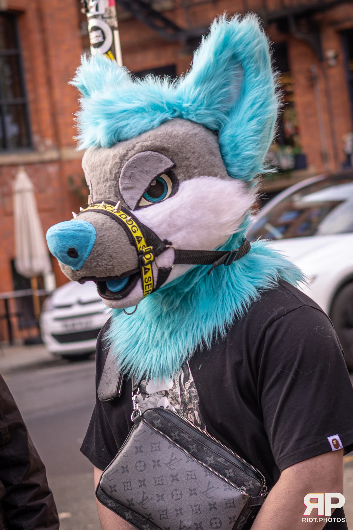 MancFurs - February, 2026 — 14 Feb 2026, Fluffy Riot photography — photo 33