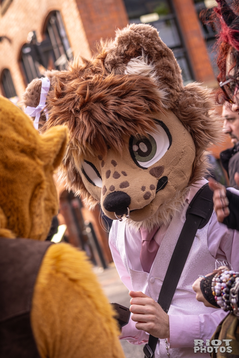 2026-02-14 MancFurs-202602-034.jpg