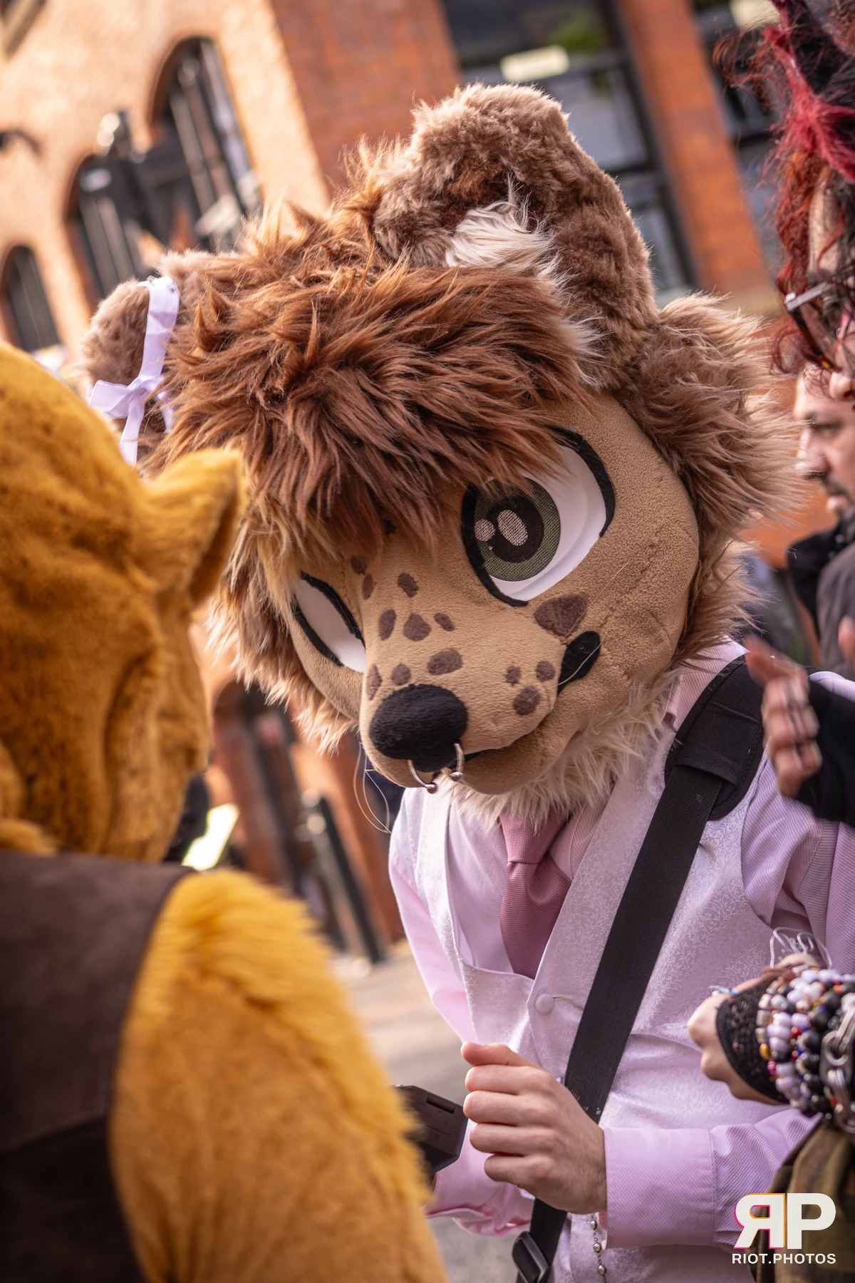 Lysander — furry & pup photography by Fluffy Riot — photo 2