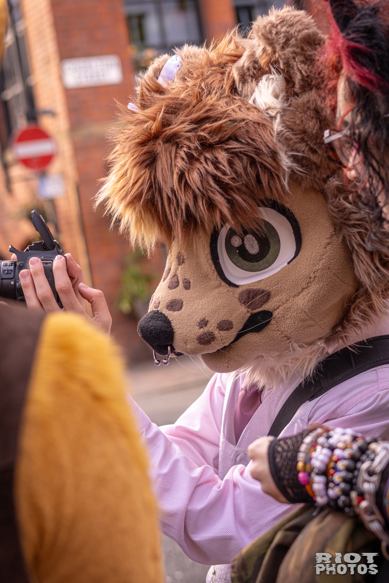 2026-02-14 MancFurs-202602-035.jpg