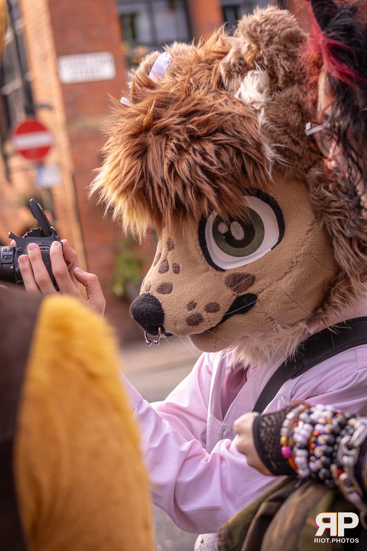 Lysander — furry & pup photography by Fluffy Riot — photo 3