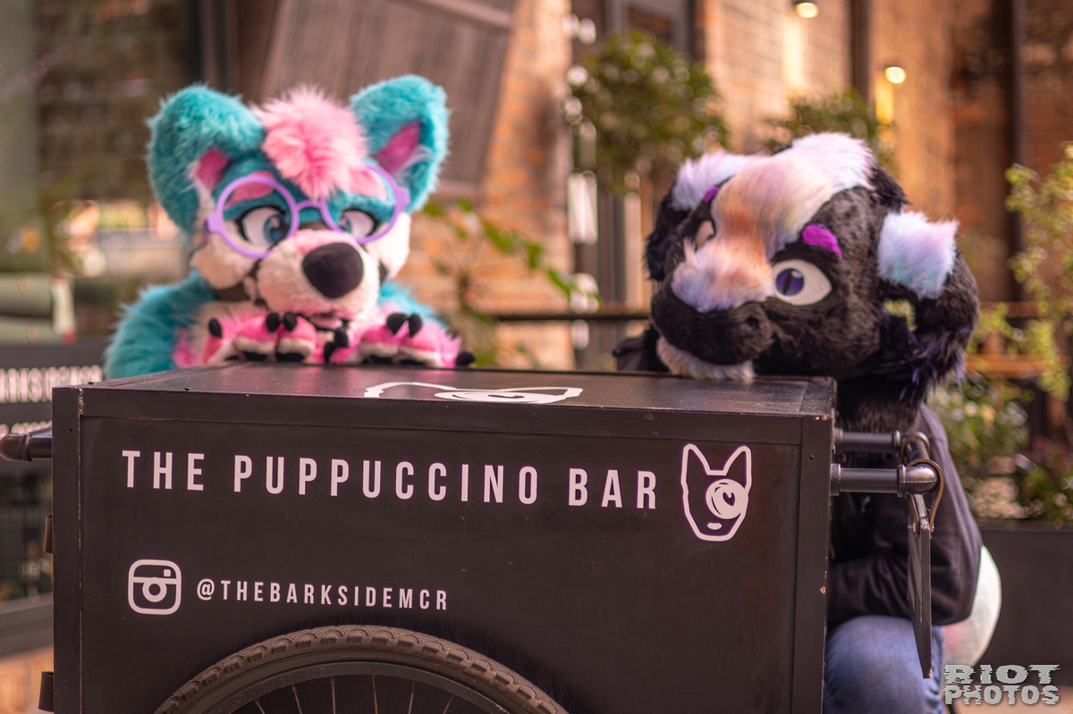 2026-02-14 MancFurs-202602-036.jpg