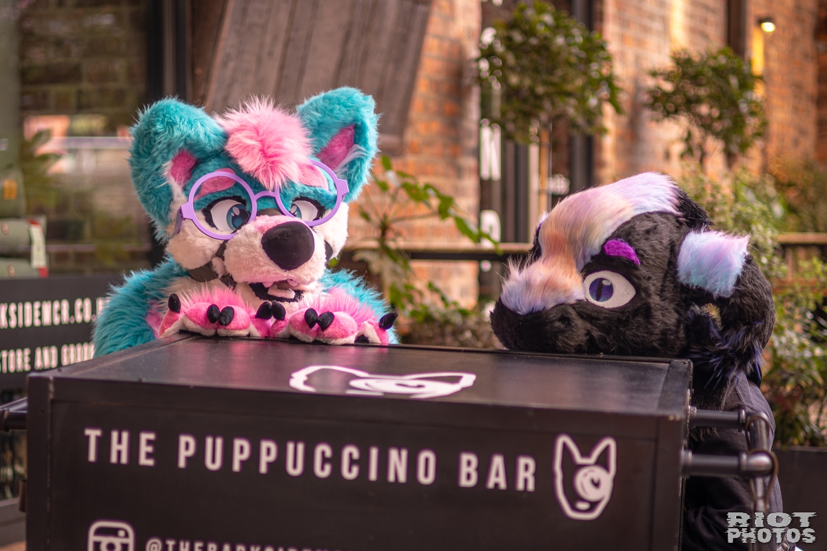 2026-02-14 MancFurs-202602-037.jpg