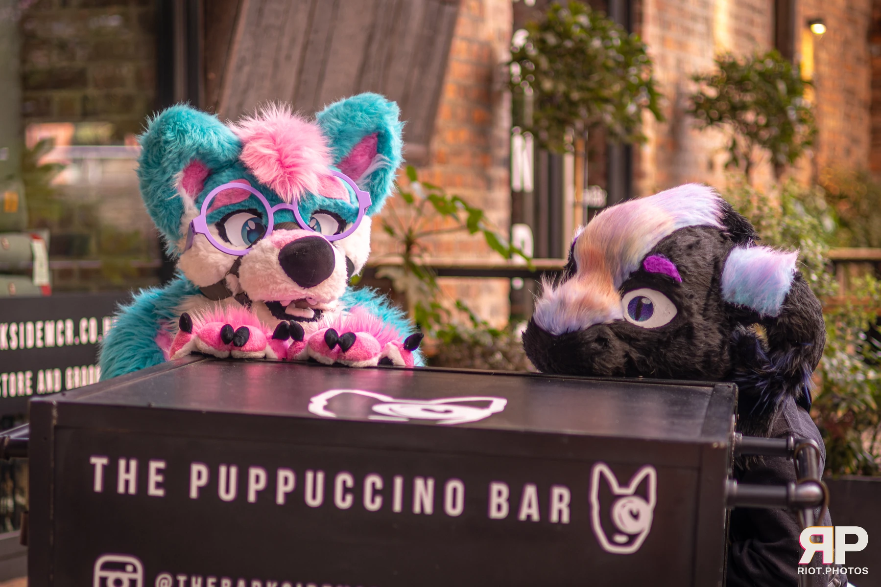 Pup Bismuth — furry & pup photography by Fluffy Riot — photo 8