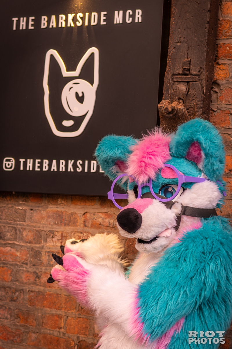 2026-02-14 MancFurs-202602-038.jpg