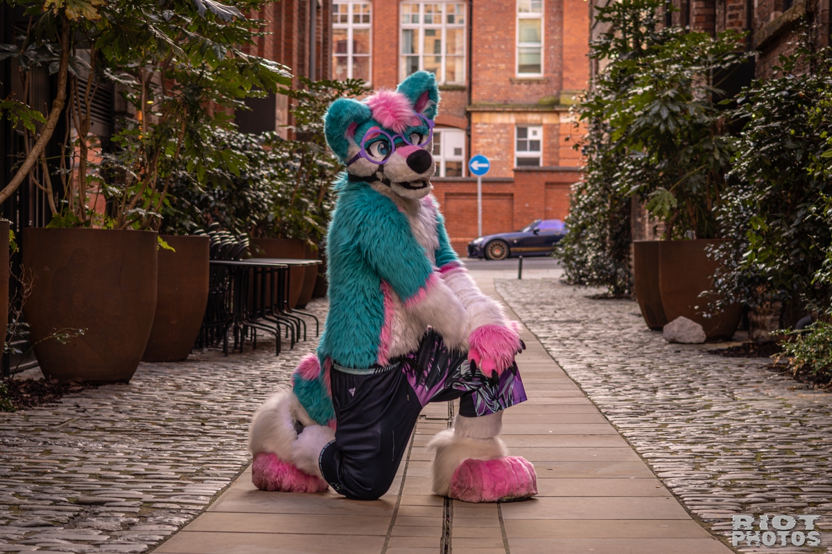 2026-02-14 MancFurs-202602-039.jpg