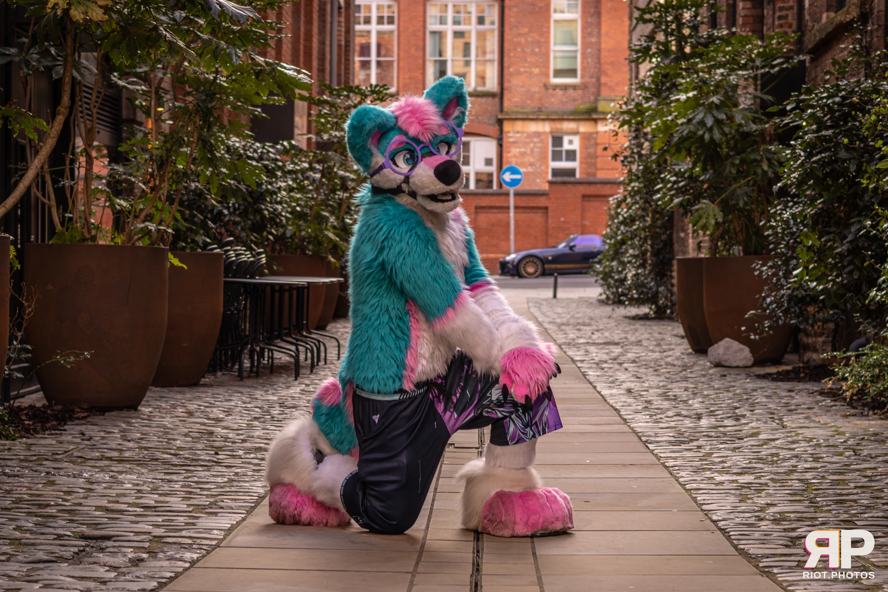 Pup Kaz — furry & pup photography by Fluffy Riot — photo 162