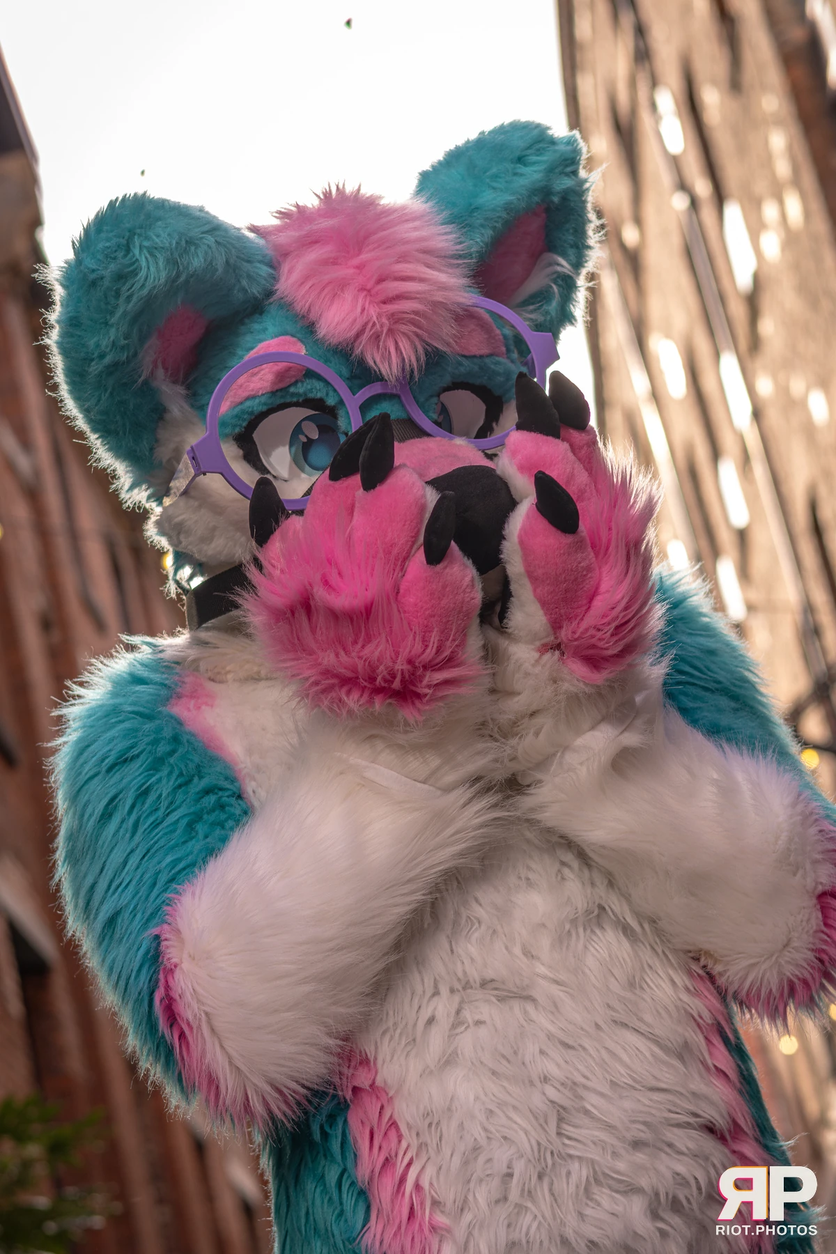 Pup Kaz — furry & pup photography by Fluffy Riot — photo 163
