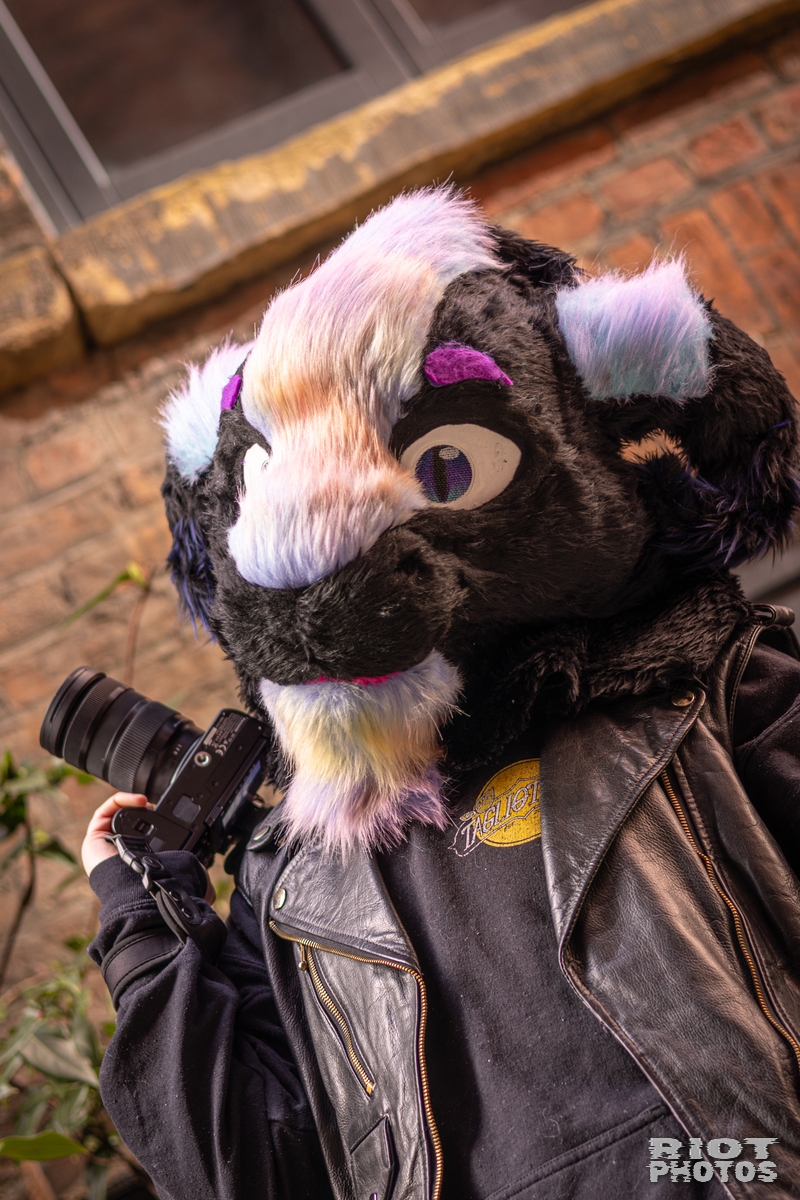 2026-02-14 MancFurs-202602-041.jpg