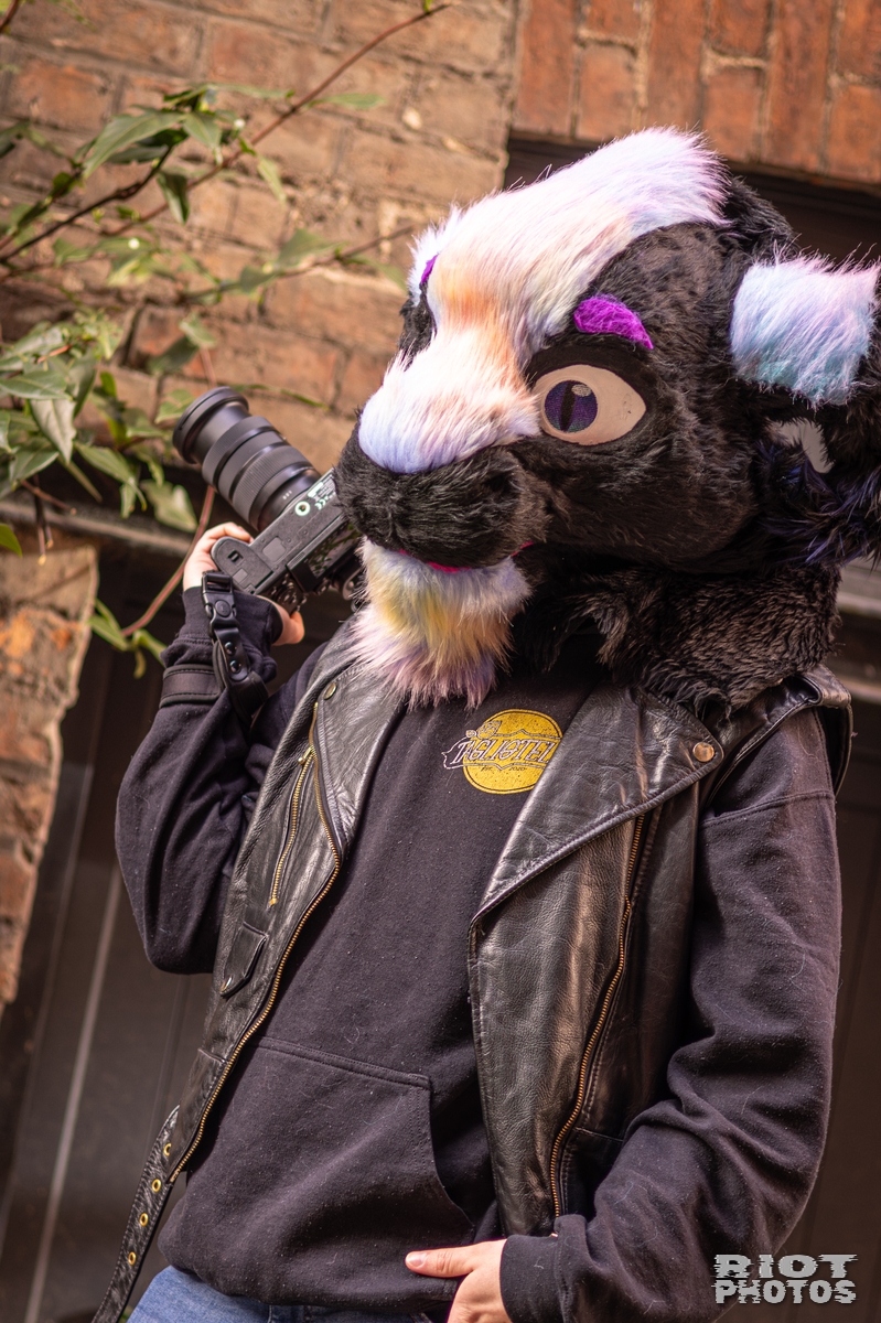 2026-02-14 MancFurs-202602-042.jpg