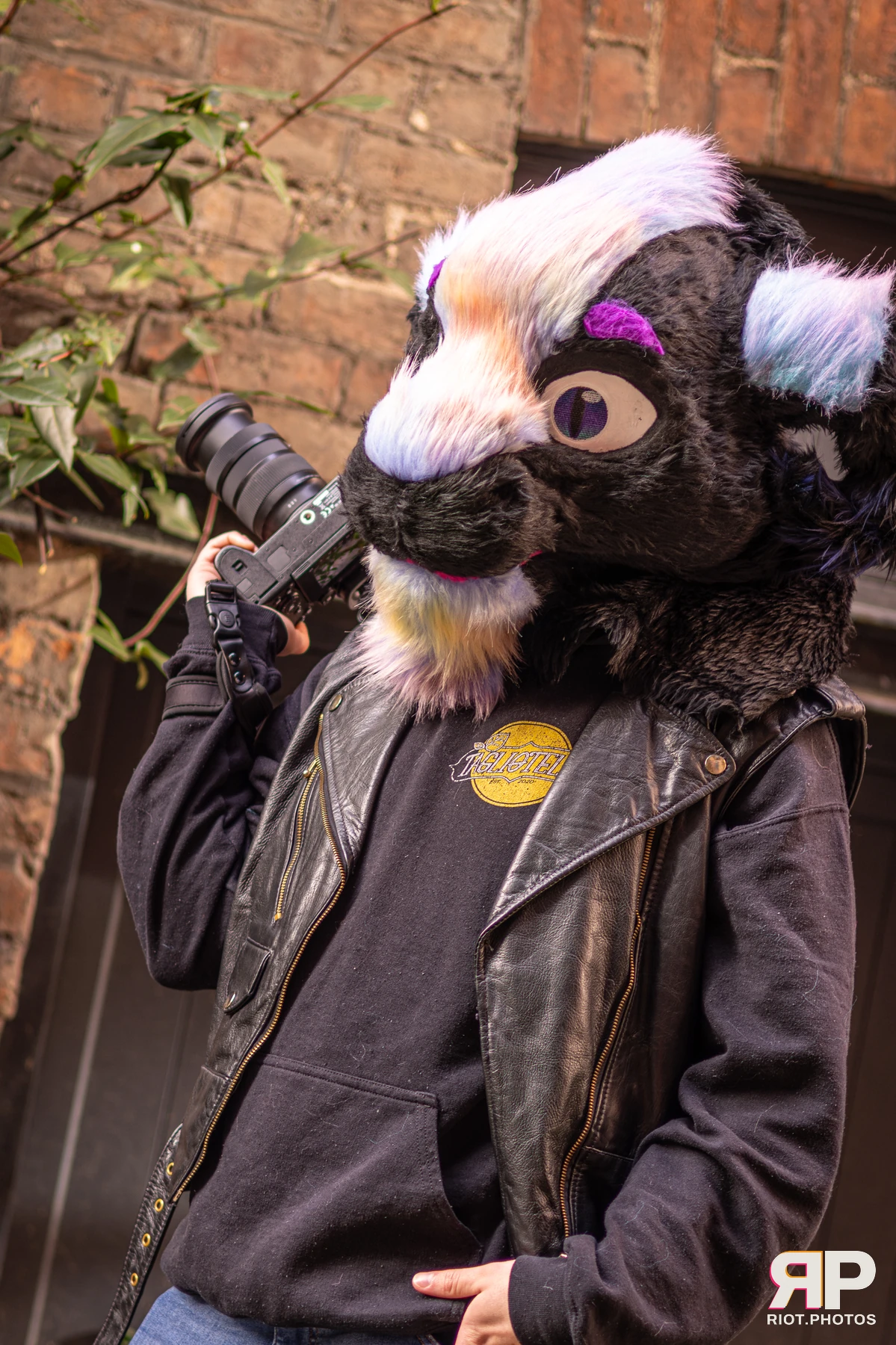 Pup Bismuth — furry & pup photography by Fluffy Riot — photo 10