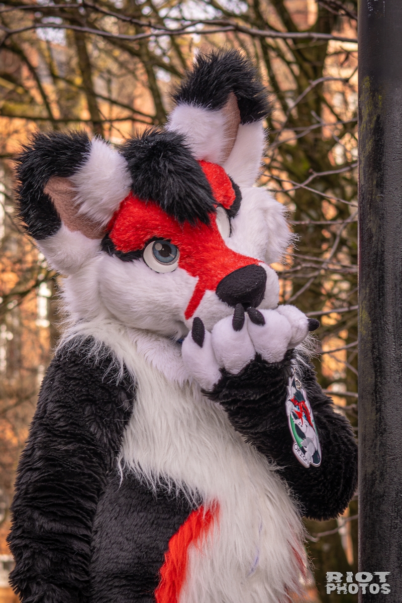 2026-02-14 MancFurs-202602-043.jpg