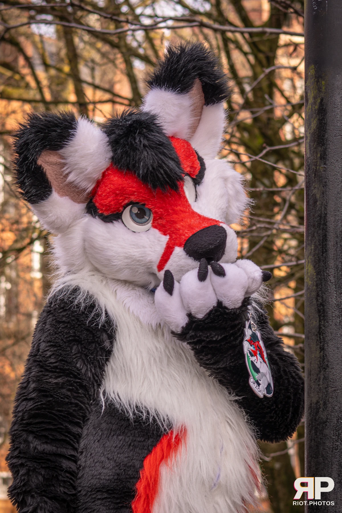 MancFurs - February, 2026 — 14 Feb 2026, Fluffy Riot photography — photo 43