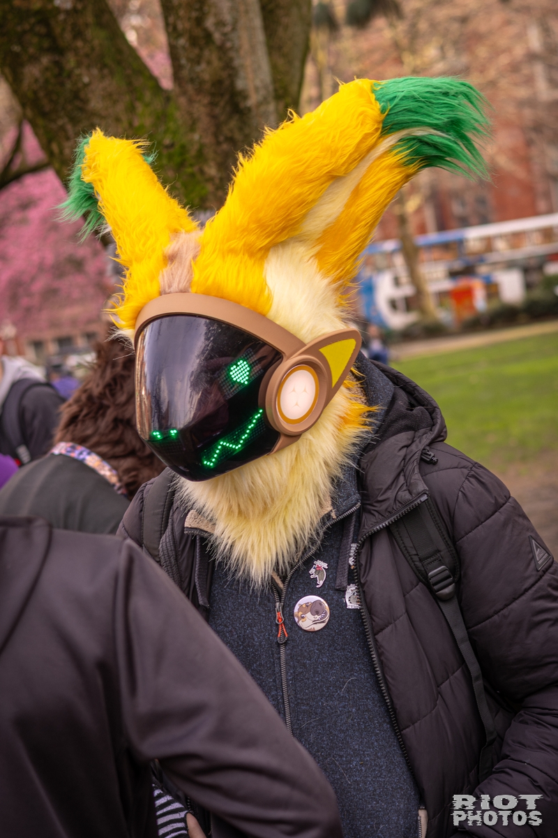2026-02-14 MancFurs-202602-044.jpg