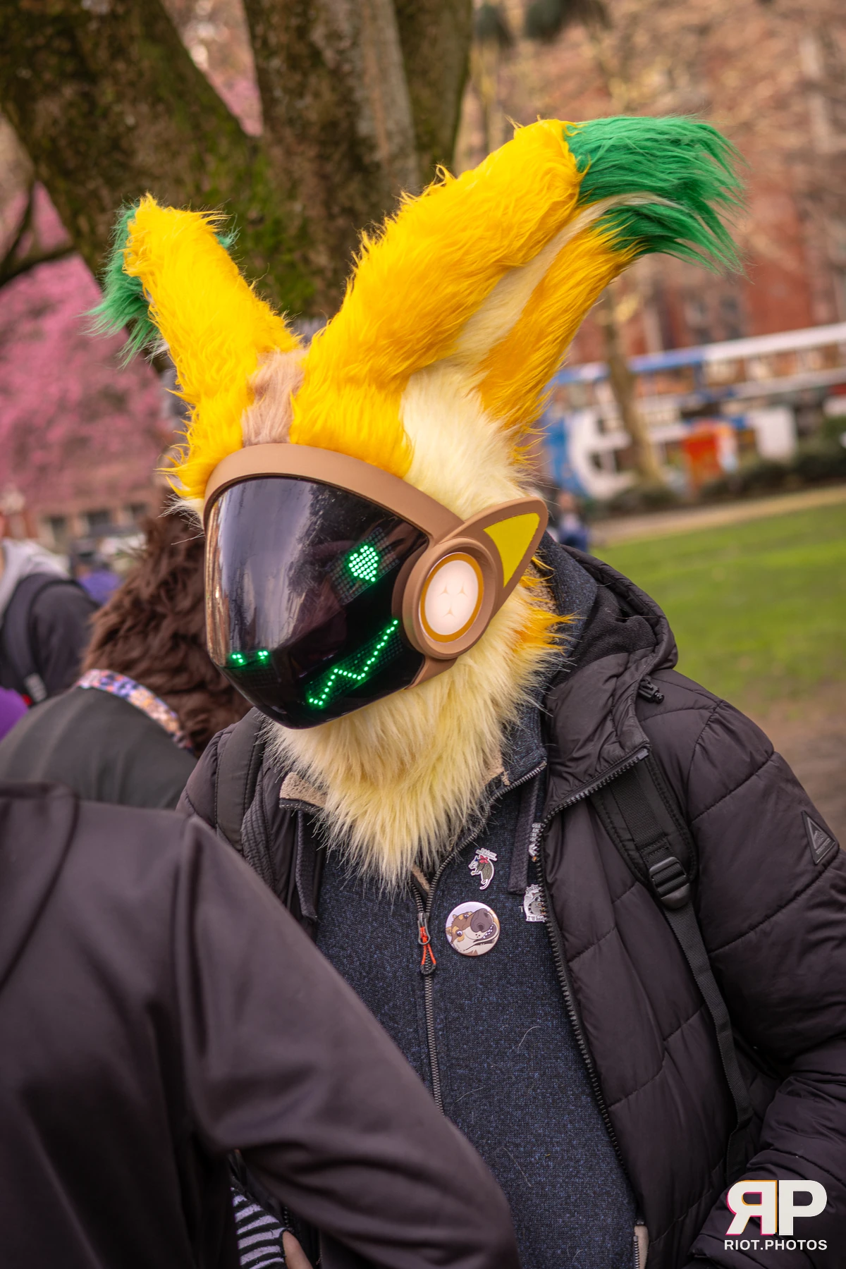 MancFurs - February, 2026 — 14 Feb 2026, Fluffy Riot photography — photo 44