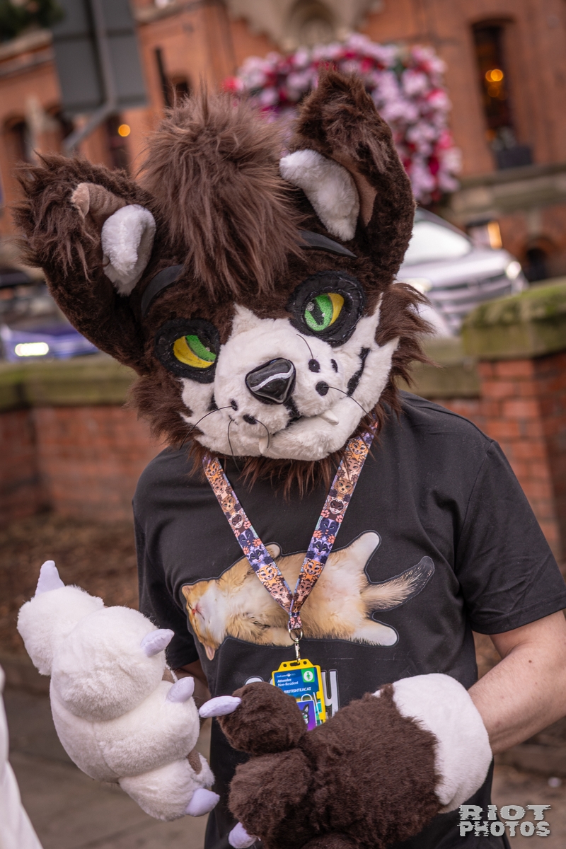 2026-02-14 MancFurs-202602-045.jpg