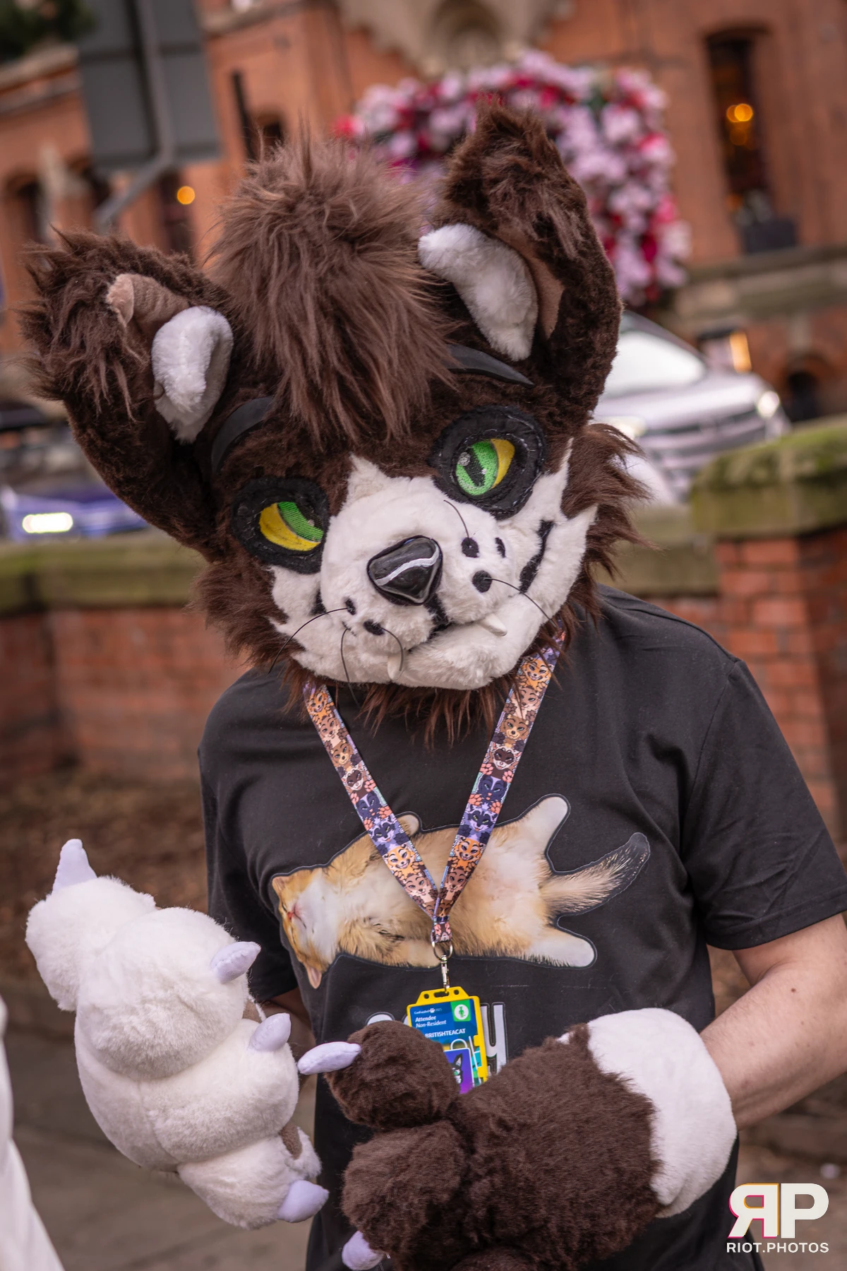 MancFurs - February, 2026 — 14 Feb 2026, Fluffy Riot photography — photo 45