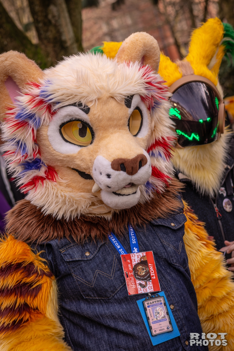 2026-02-14 MancFurs-202602-046.jpg