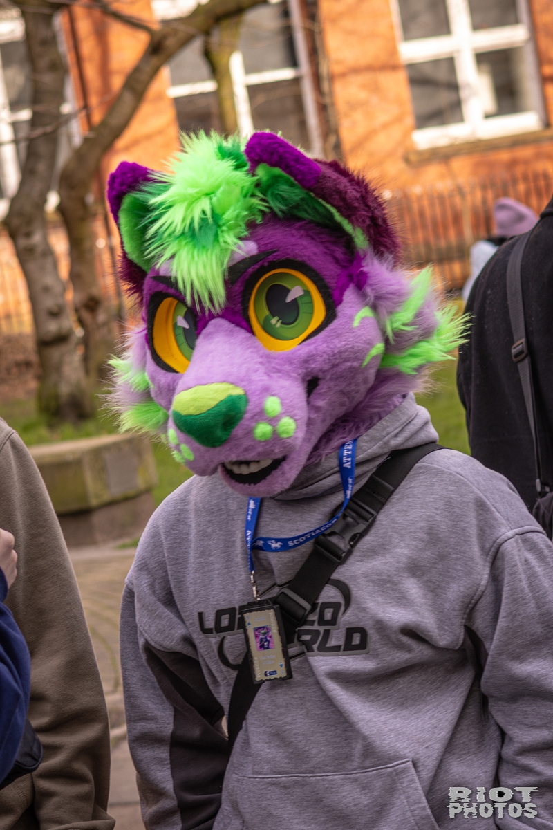 2026-02-14 MancFurs-202602-047.jpg