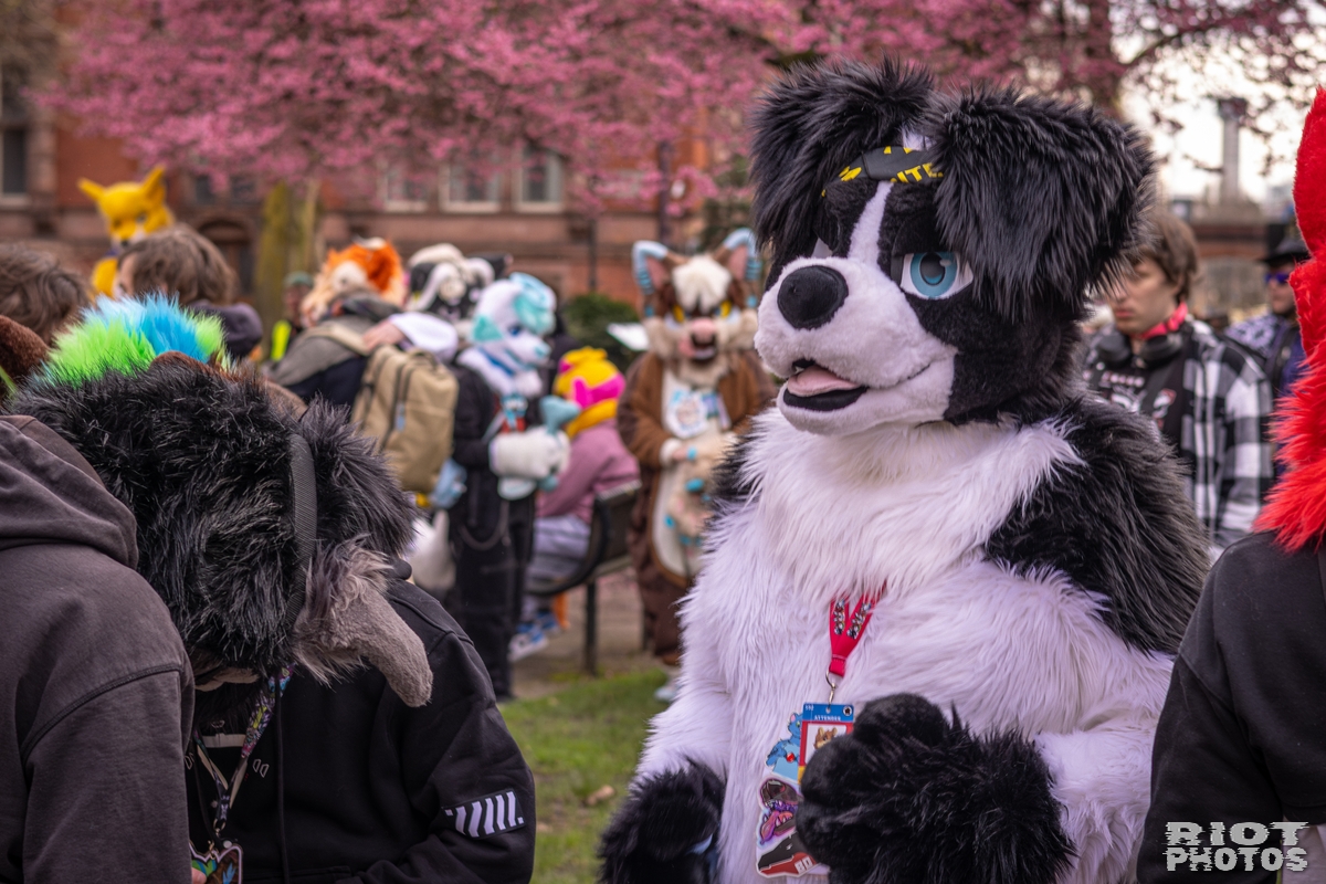 2026-02-14 MancFurs-202602-048.jpg