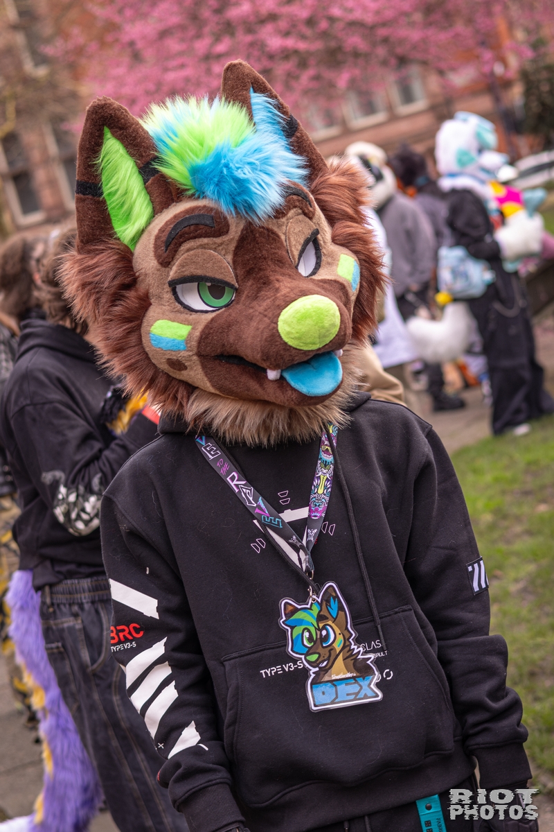 2026-02-14 MancFurs-202602-049.jpg