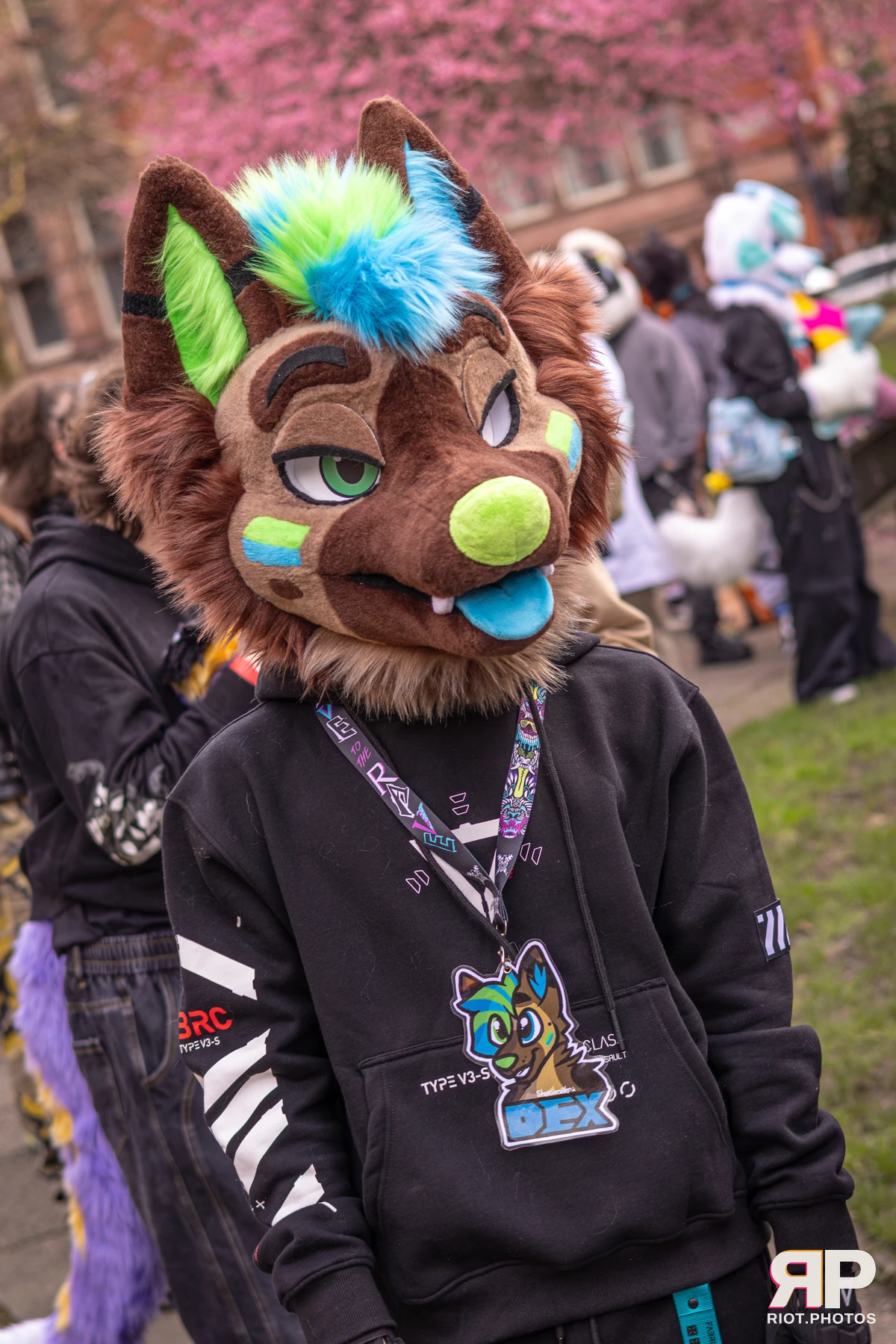 MancFurs - February, 2026 — 14 Feb 2026, Fluffy Riot photography — photo 49
