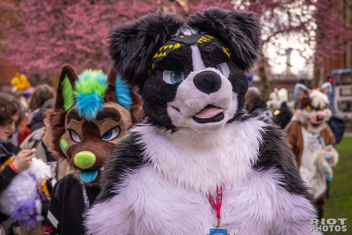 2026-02-14 MancFurs-202602-050.jpg