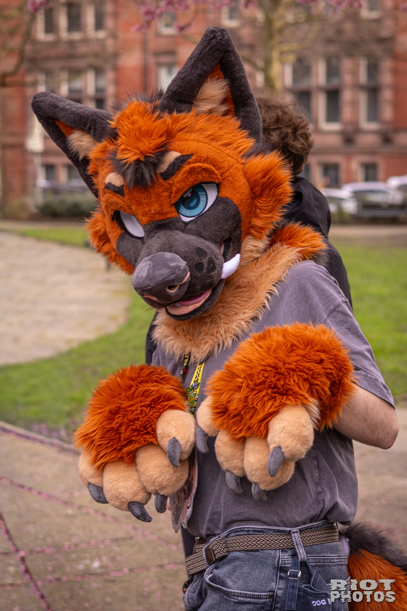 2026-02-14 MancFurs-202602-051.jpg