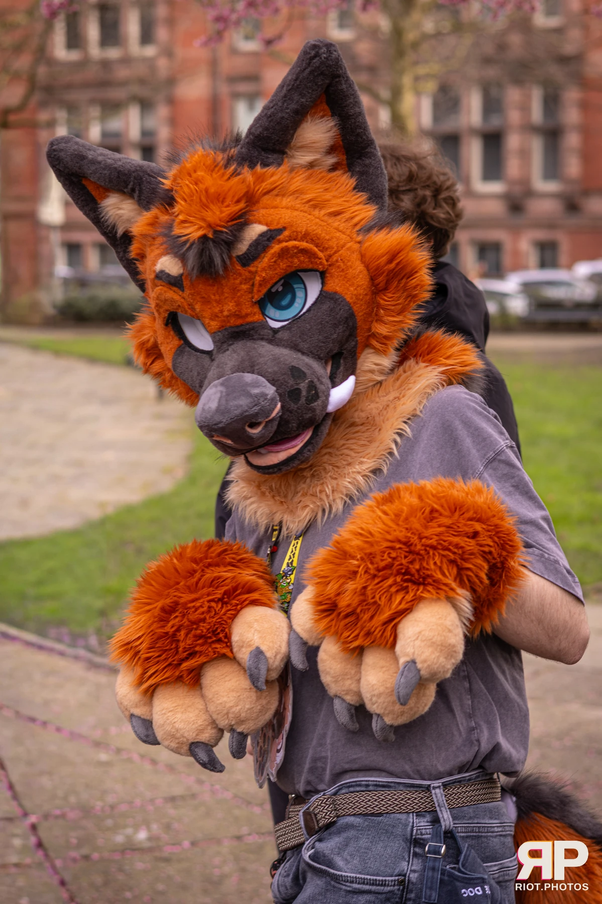 MancFurs - February, 2026 — 14 Feb 2026, Fluffy Riot photography — photo 51