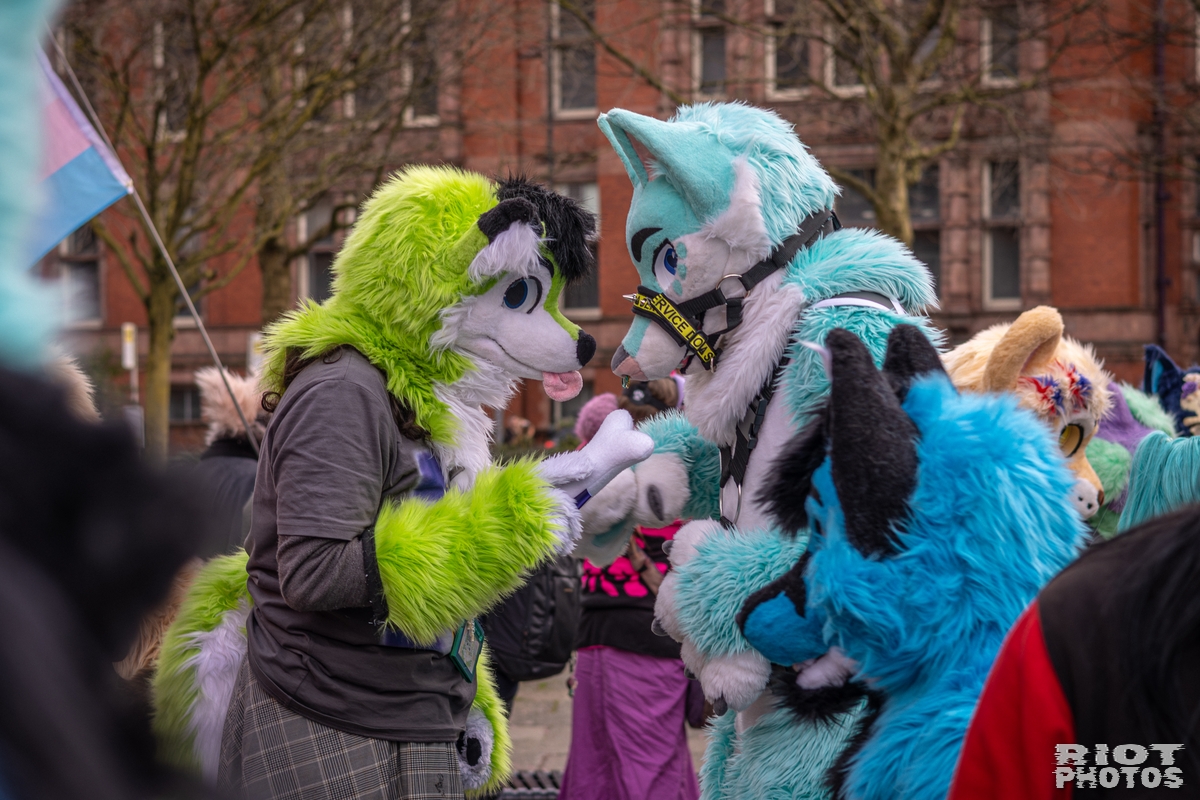 2026-02-14 MancFurs-202602-053.jpg
