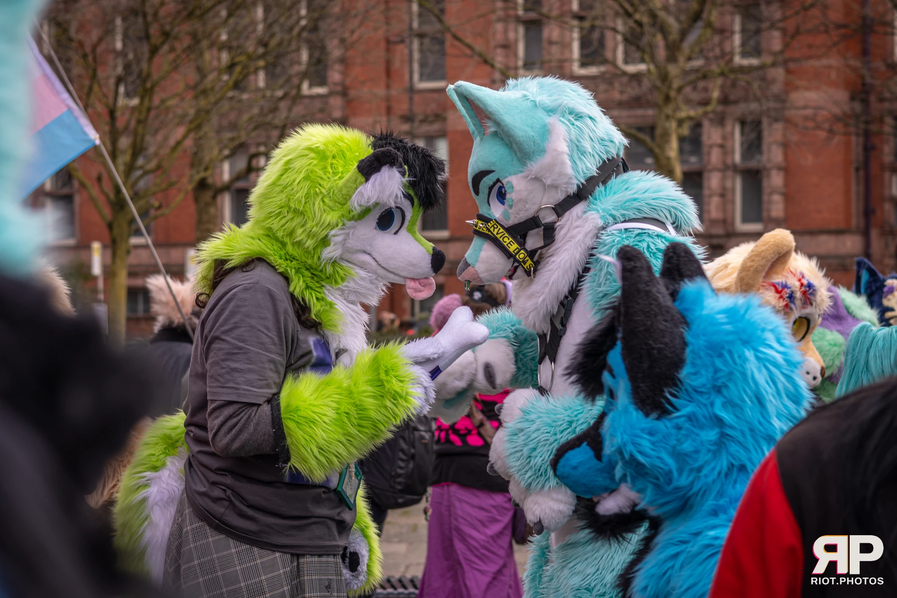 MancFurs - February, 2026 — 14 Feb 2026, Fluffy Riot photography — photo 53