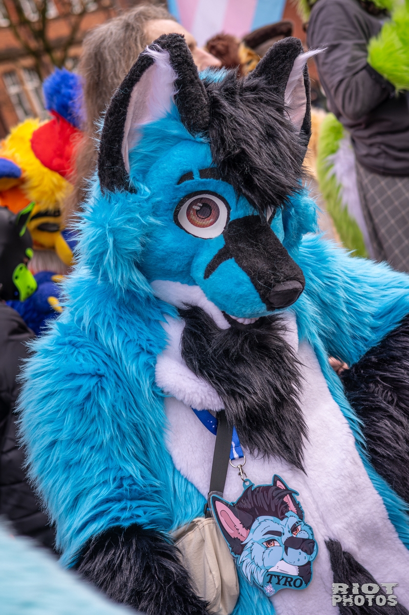 2026-02-14 MancFurs-202602-054.jpg