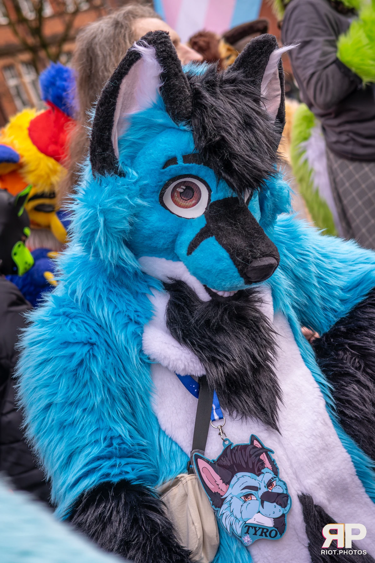 Tyro — furry & pup photography by Fluffy Riot — photo 5