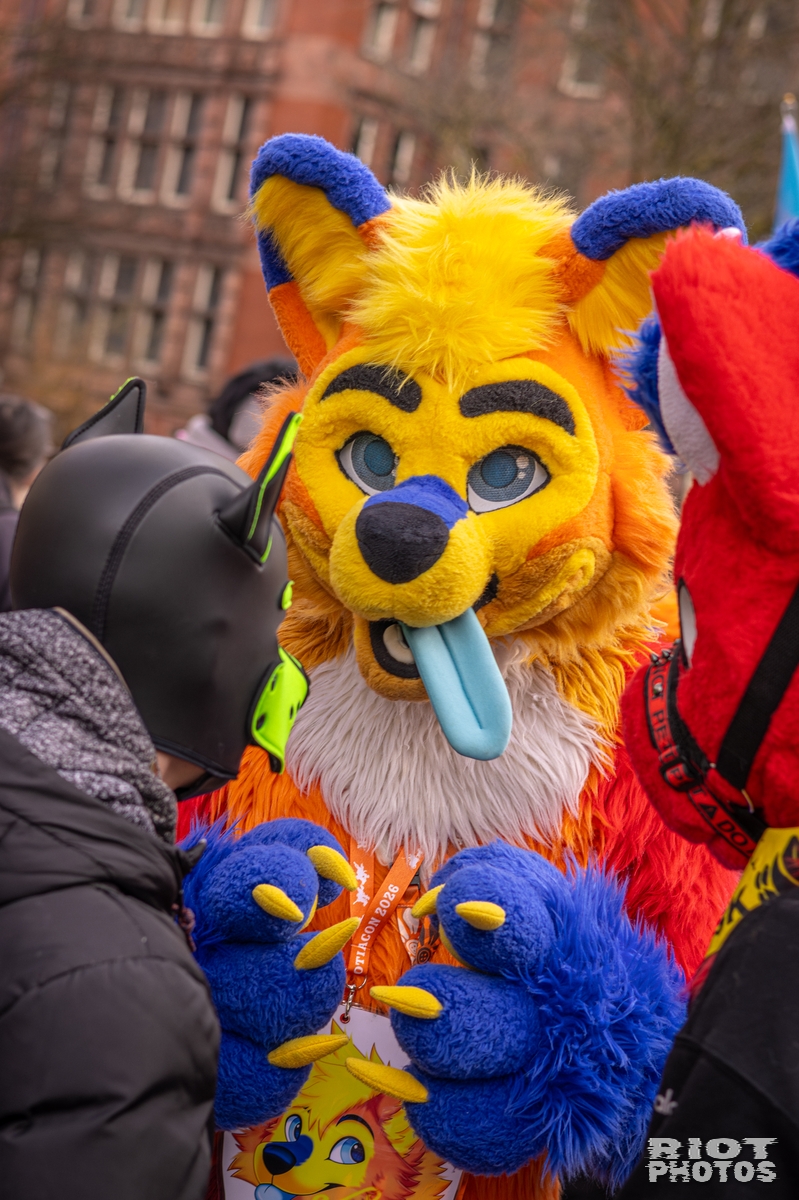 2026-02-14 MancFurs-202602-055.jpg