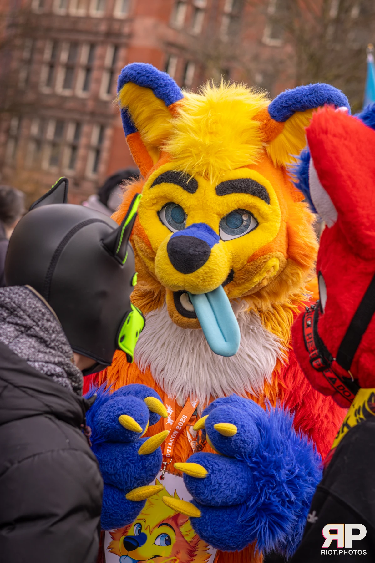 MancFurs - February, 2026 — 14 Feb 2026, Fluffy Riot photography — photo 55