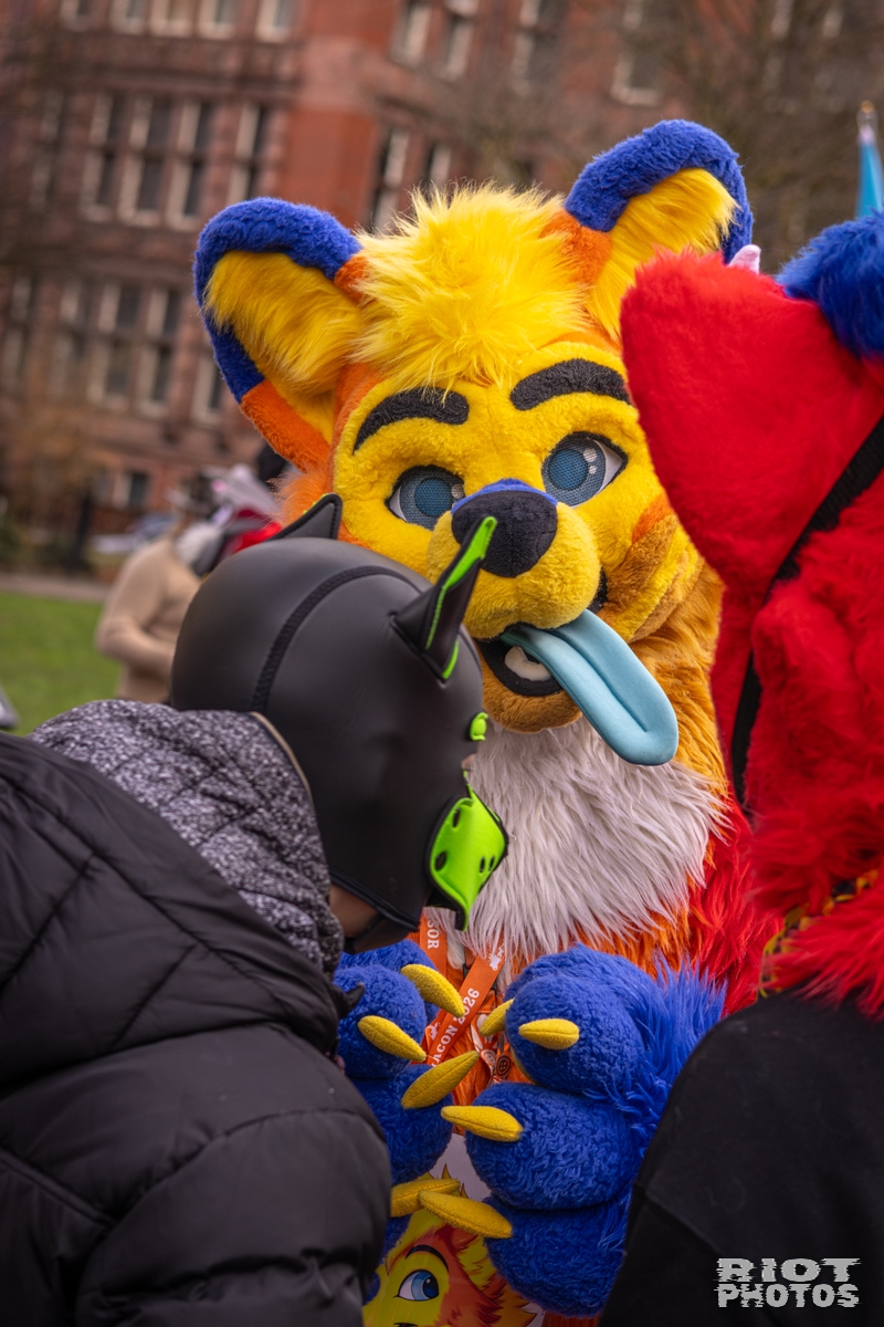 2026-02-14 MancFurs-202602-056.jpg