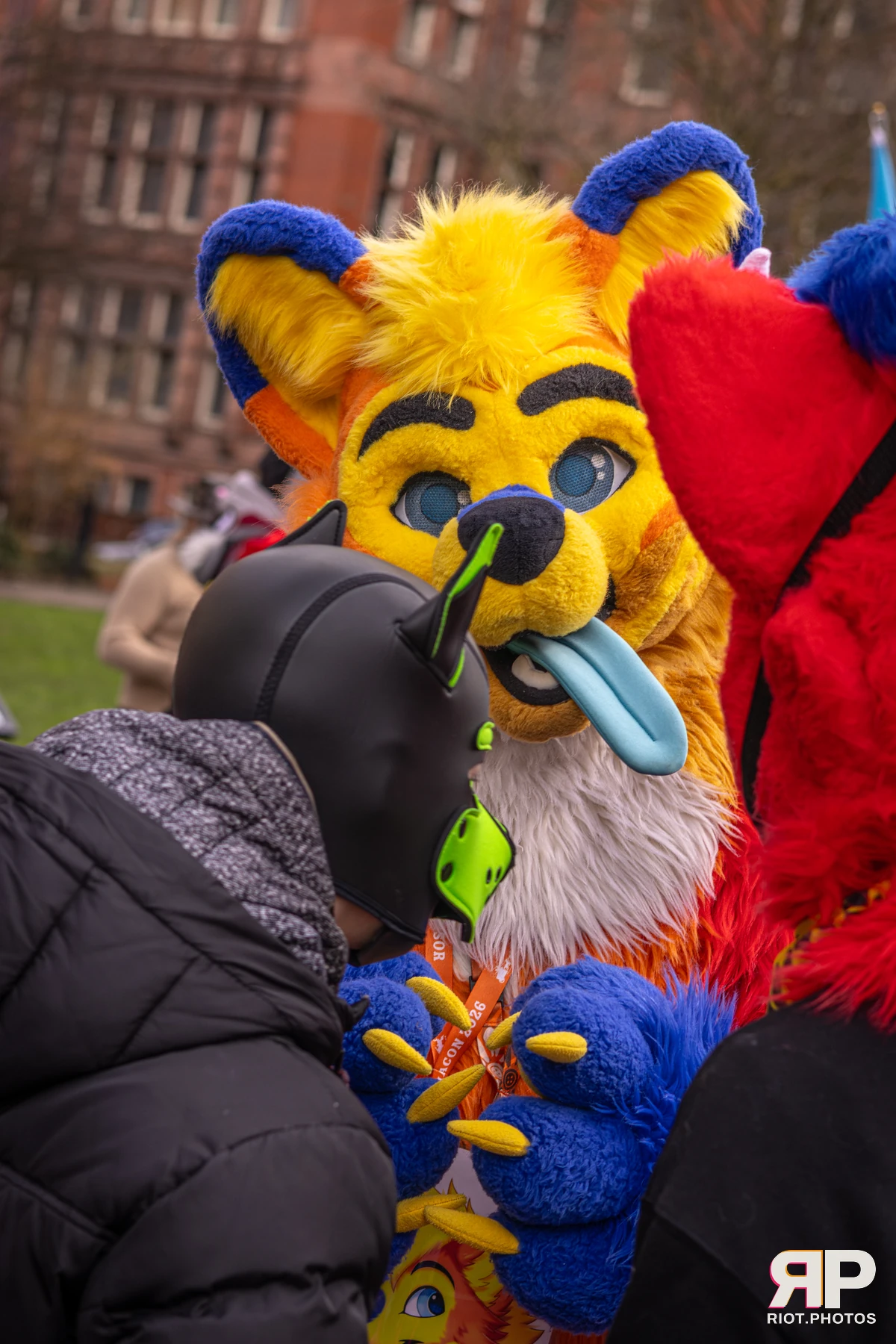 MancFurs - February, 2026